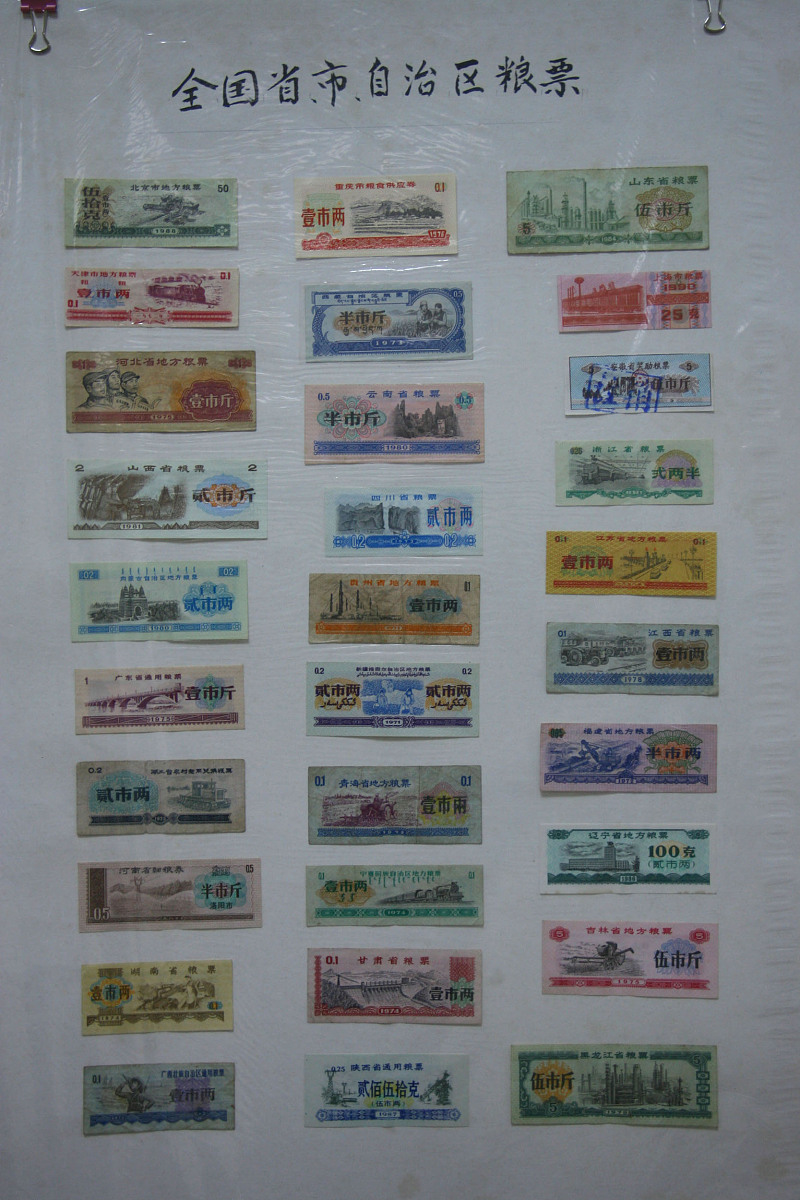 《论党的青年工作》读后感：深刻理解青年工作的意义和重要性