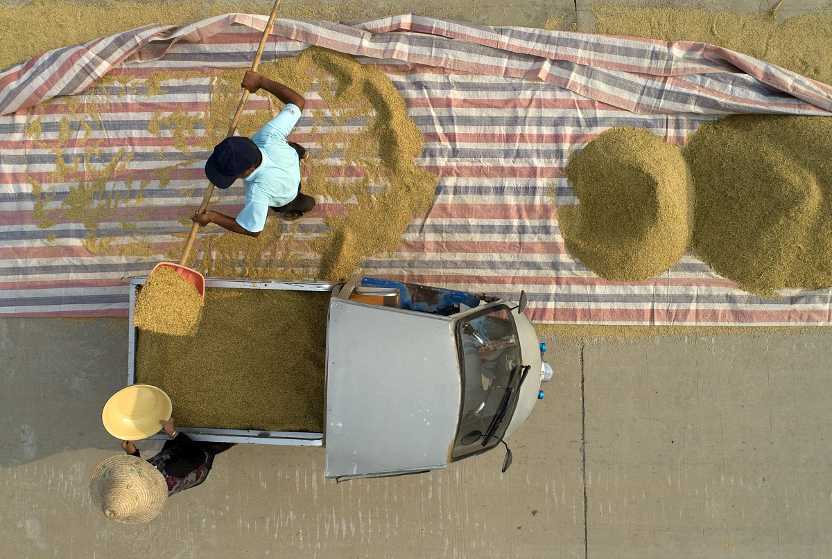 中国传统农事谚语：最佳种植时间