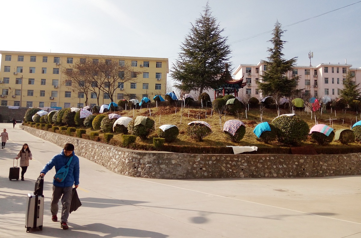 同心县石狮职业中学怎么样？学校实力如何？