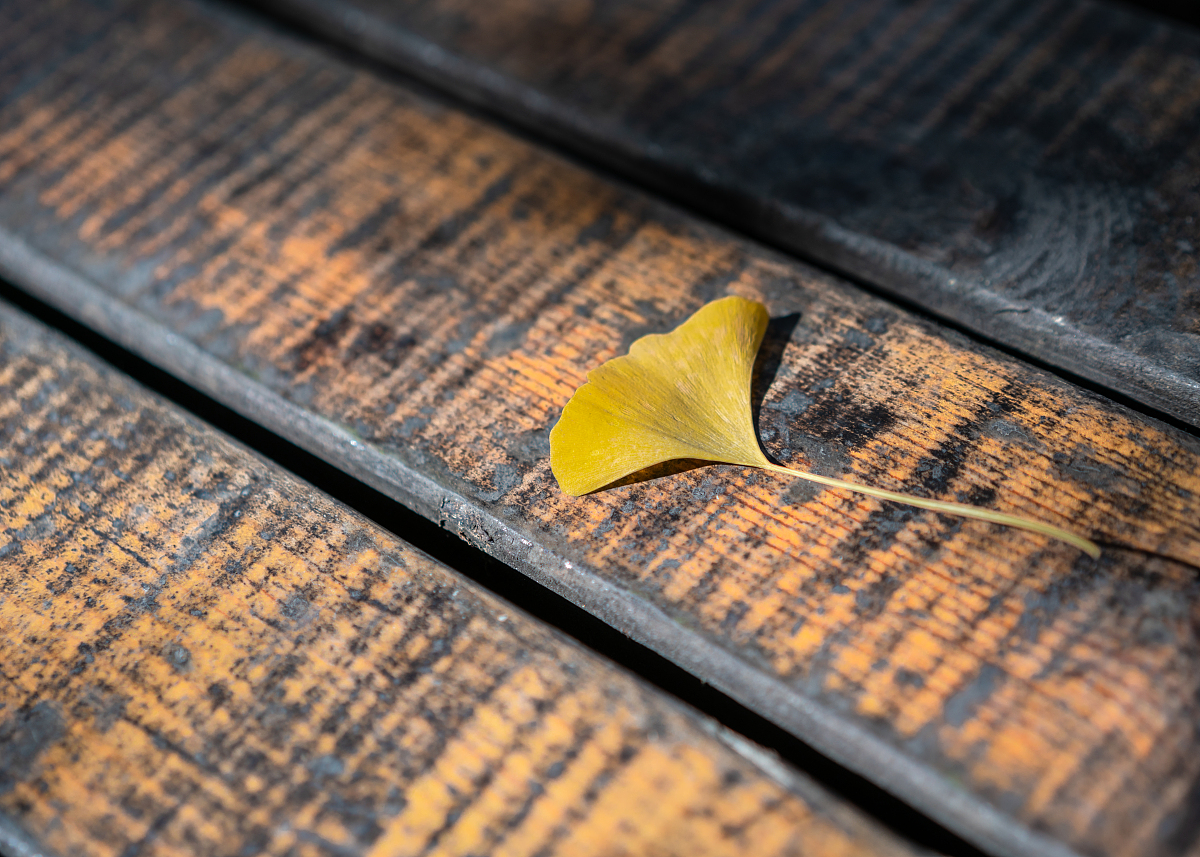 四川2023年民办电商学院排名及招生简章