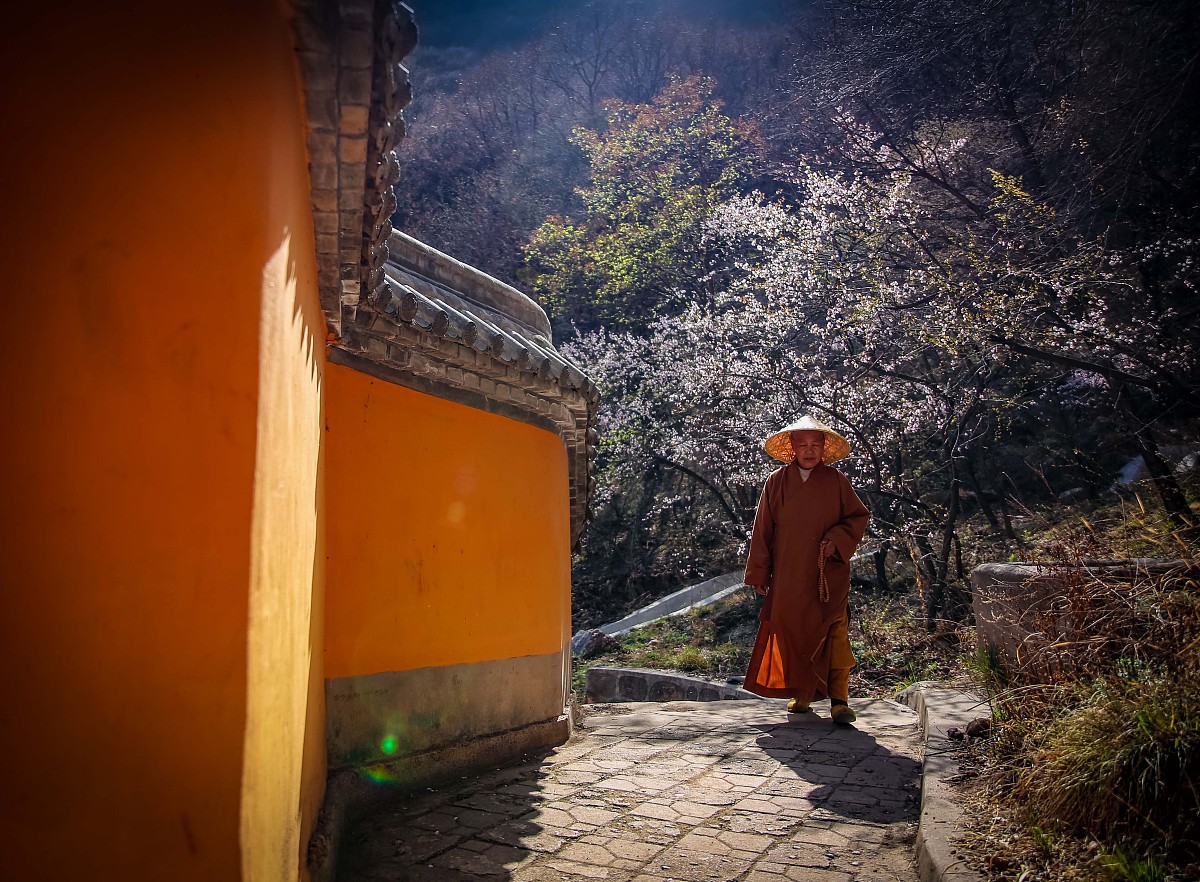 优化内容：住在废弃寺院外部环境可能比较清静。但是生存环境会比较严酷长久下去可能引发内心的不清静。内心若清静在哪都清静；内心不清静在哪……因此若只想避世得清静在能保障自己的日常开支下选择废弃寺庙会比大寺庙更清静。