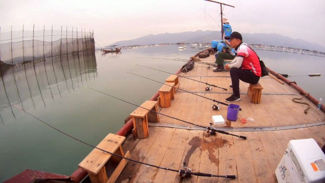 筏钓:海筏固定式船钓,连竿收获40多条黑鲷鱼