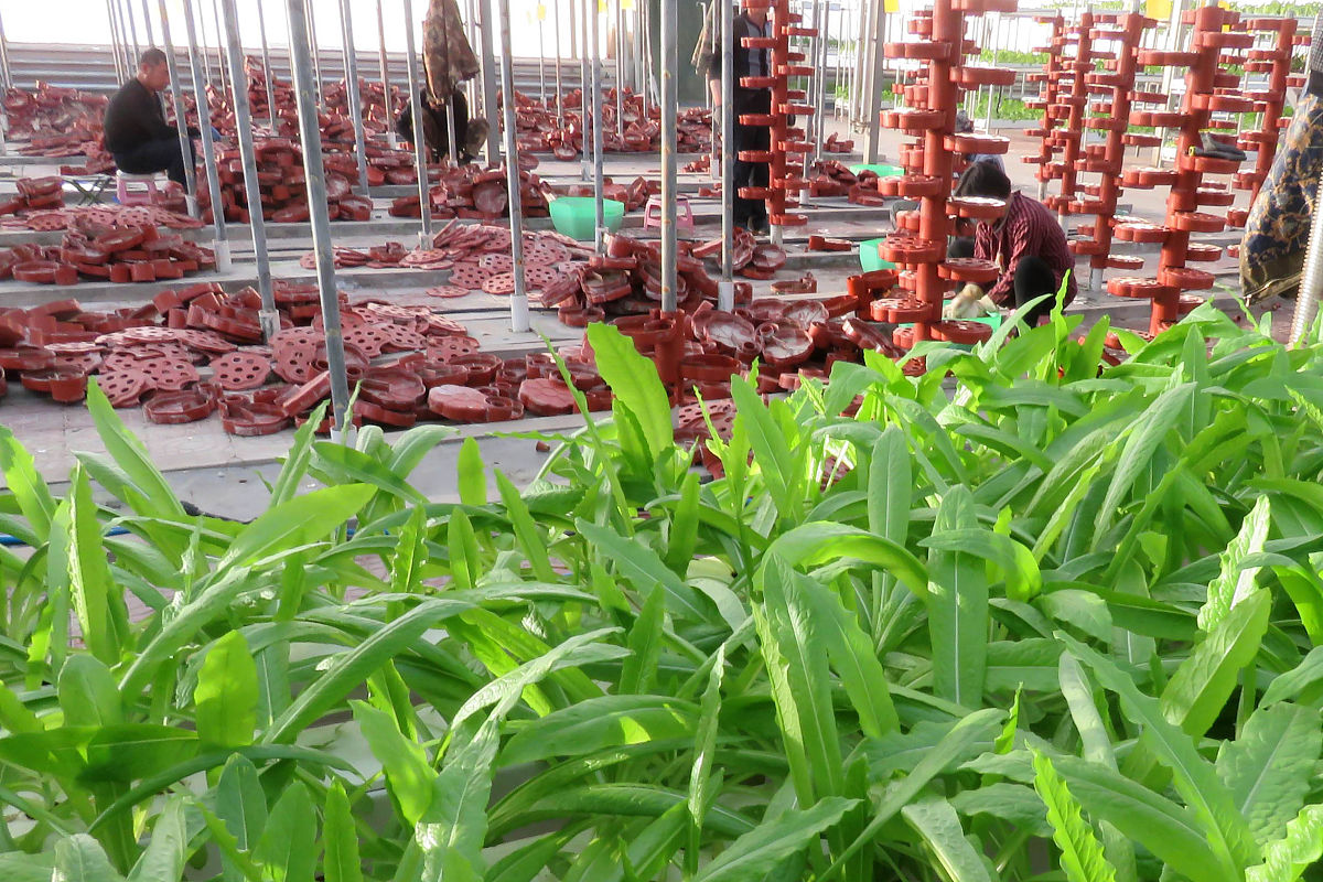 云南农业职业学院五年一贯制大专报名 | 2019招生简章