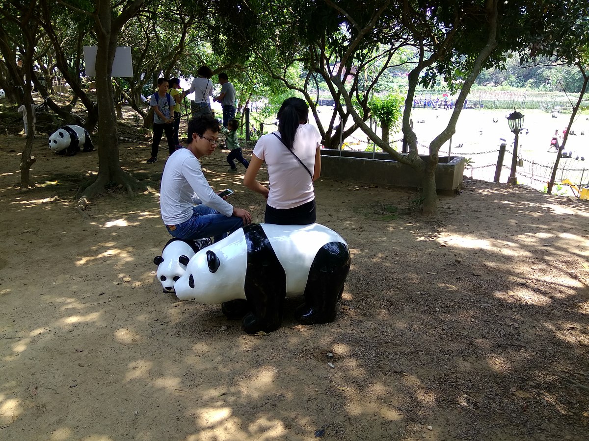 长江野生动植物保护专题展：了解生态、参与行动