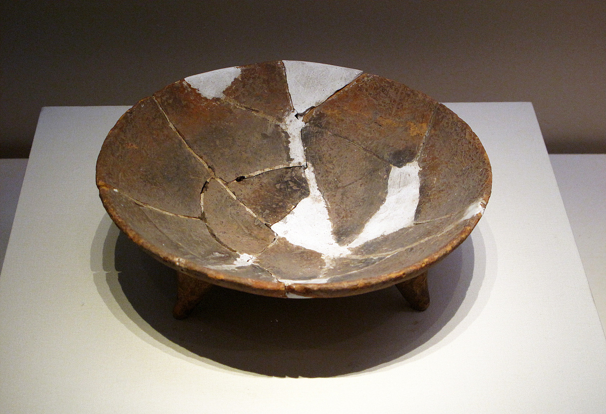 《如果国宝会说话》读后感