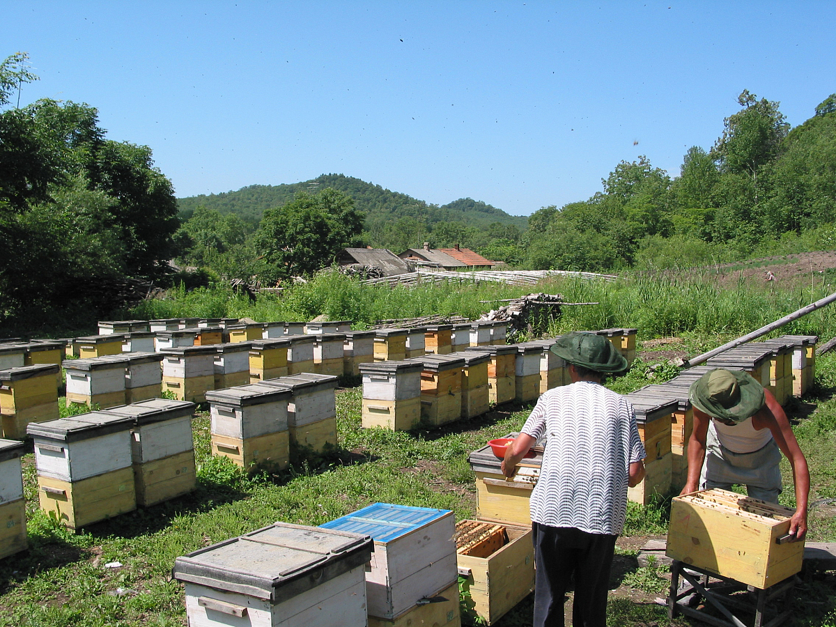 宁夏中专畜牧兽医专业就业方向：畜牧、养殖、兽医等领域