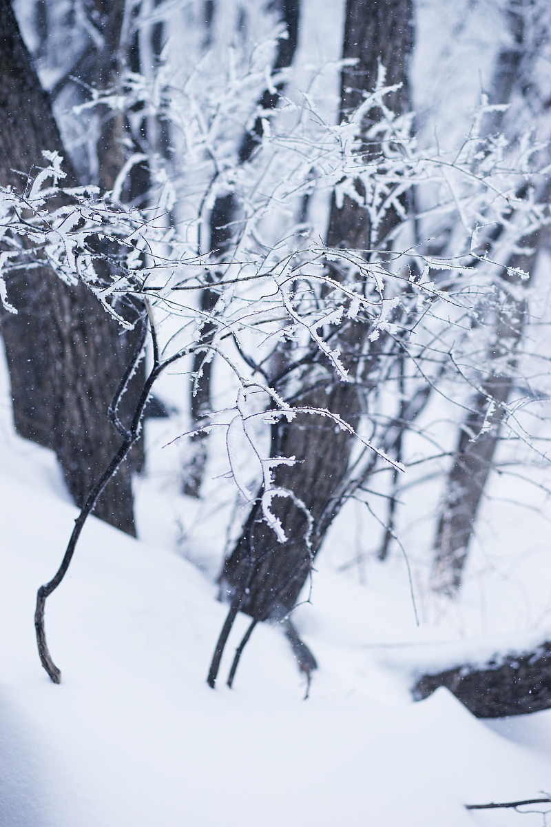 吉林财税高等专科学校简介 - 培养财税类专业人才的摇篮