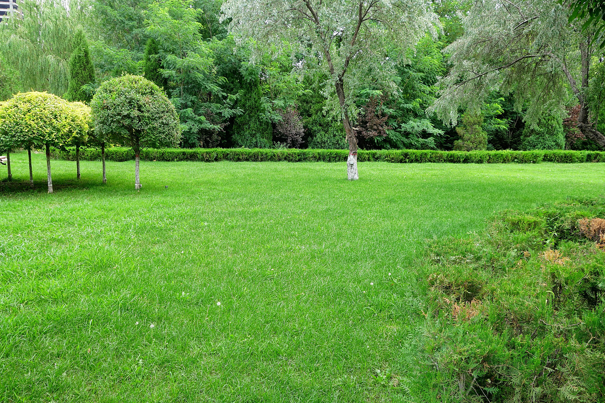 银川媒体曝光热线电话大全及使用指南