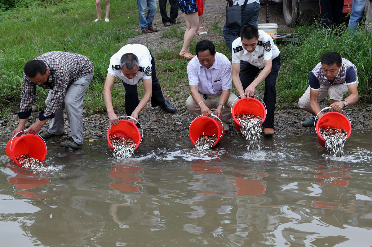 内江会计专业中专排名：优质学校推荐