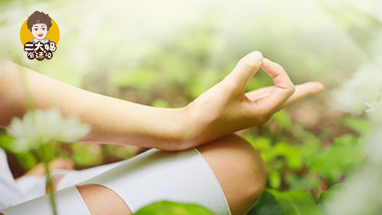 春天吃这4种不花钱的菜,比啥补药都好!可惜很少人知道