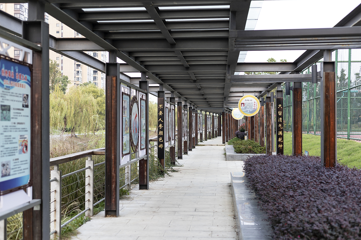 个人廉政风险排查和防范承诺：筑牢思想防线，守住廉洁底线