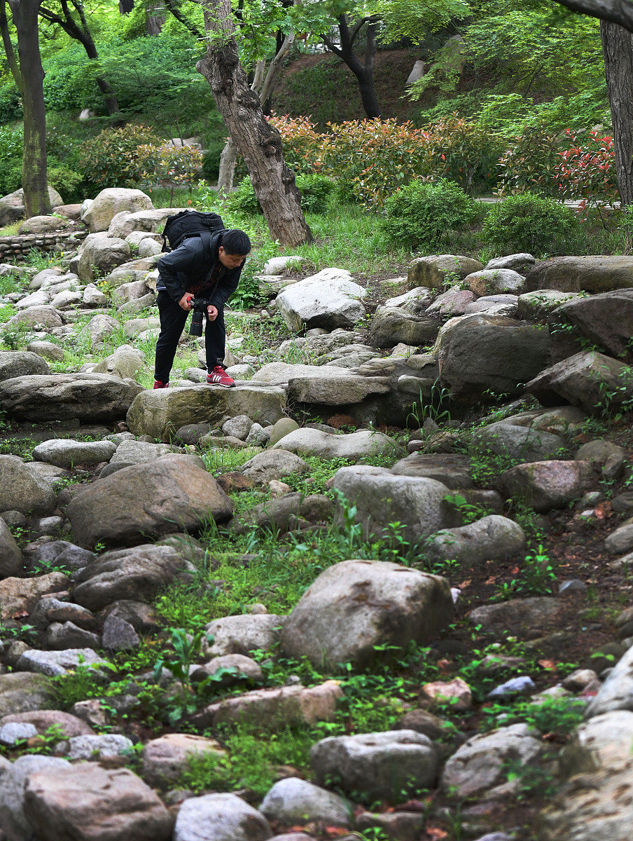 武汉园林技工学校2023年招生简章 - 培养园林行业人才