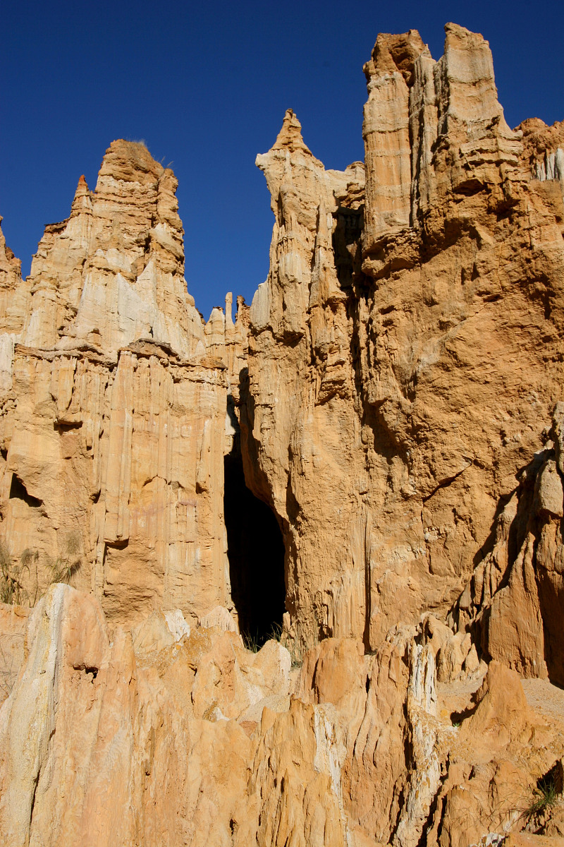 楚雄读中专学校学什么好