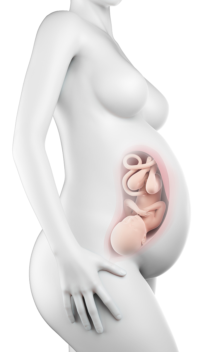 medical illustration