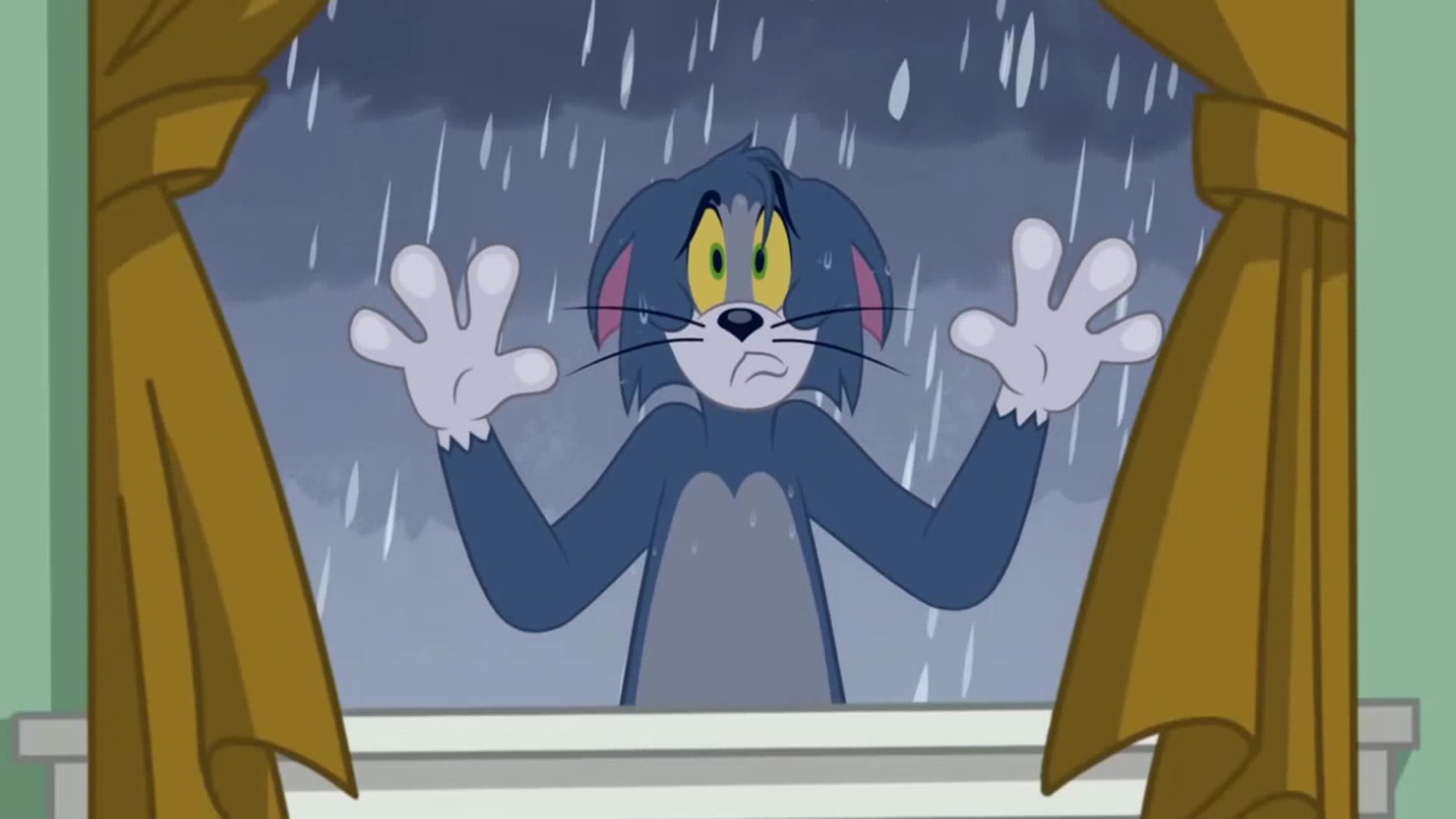 猫和老鼠:暴风雨下的汤姆和斯派克
