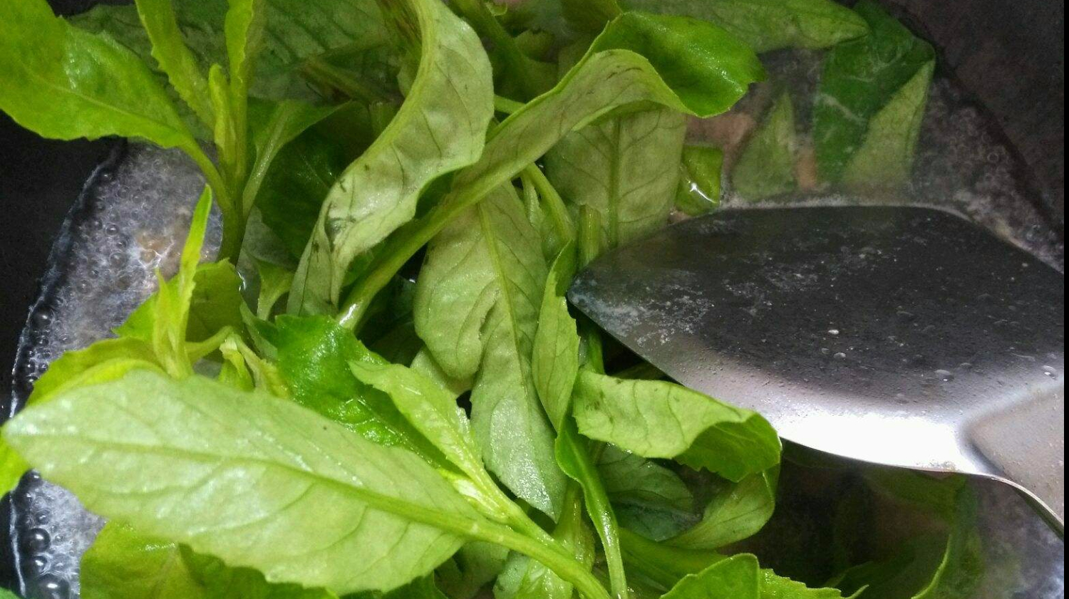 长寿还是短命,就看吃不吃这种食物,身体多吃更健康,延年益寿!