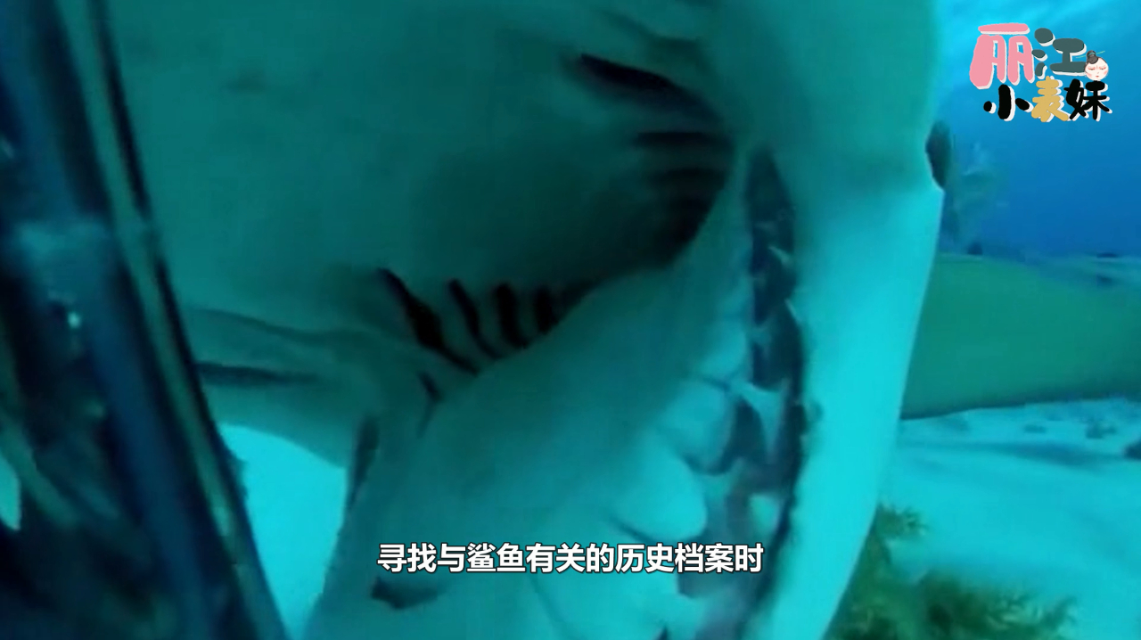 小伙和战利品巨齿鲨合影,不料3秒后,这张照片成了他的遗照