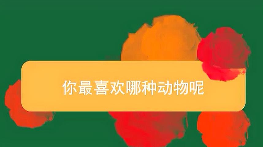 [图]你最喜欢的动物是什么