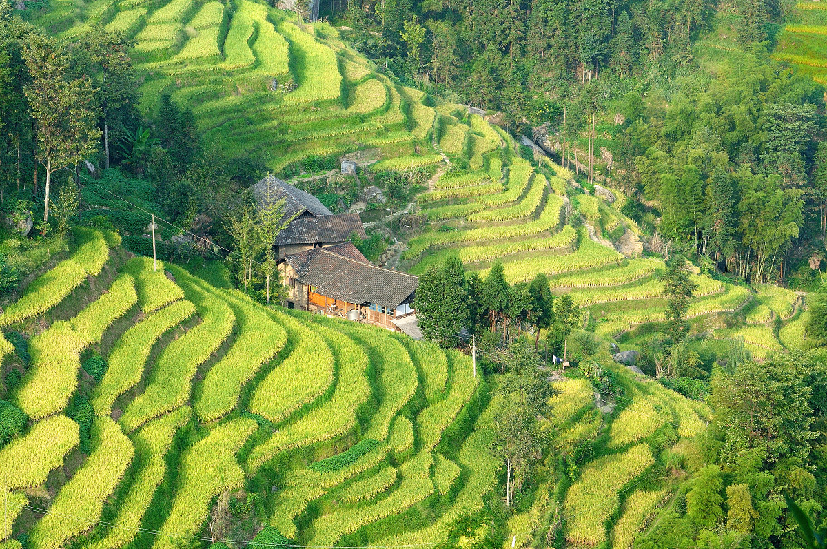 新化茶香紫鹊界，油溪桥村石磴回环