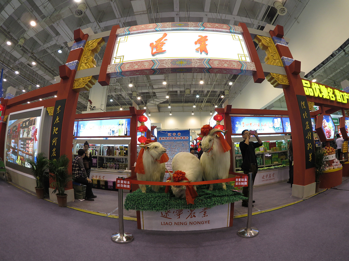 广西双百双新具体发展计划是什么