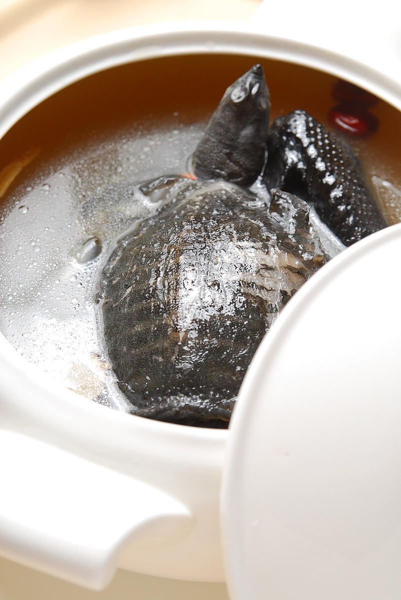 滋补甲鱼汤的药材配方