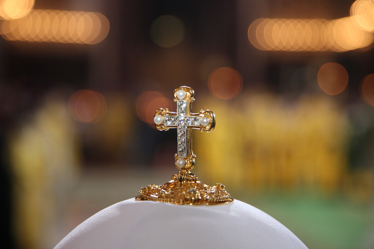 圣杯二象征什么器官