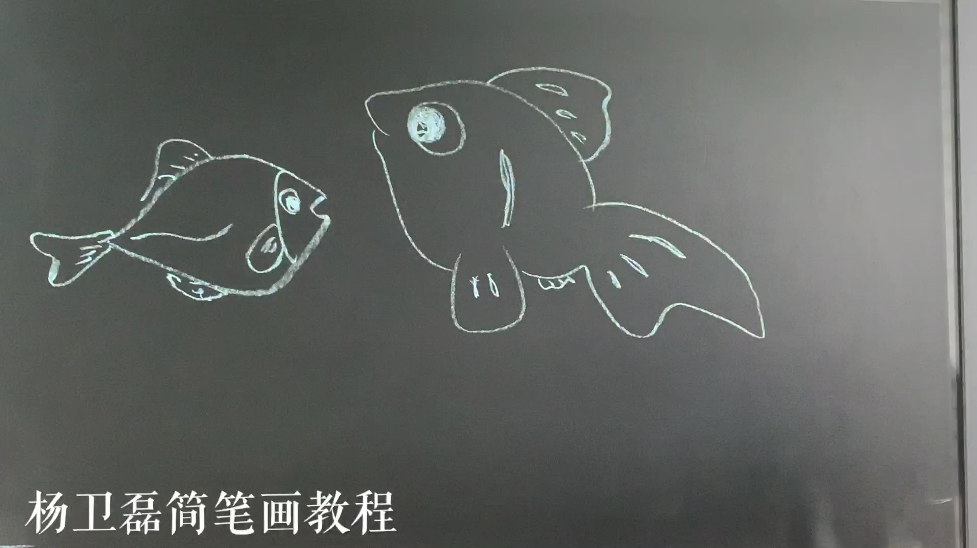 吃过鱼头没画过鱼,来,今天试试吧