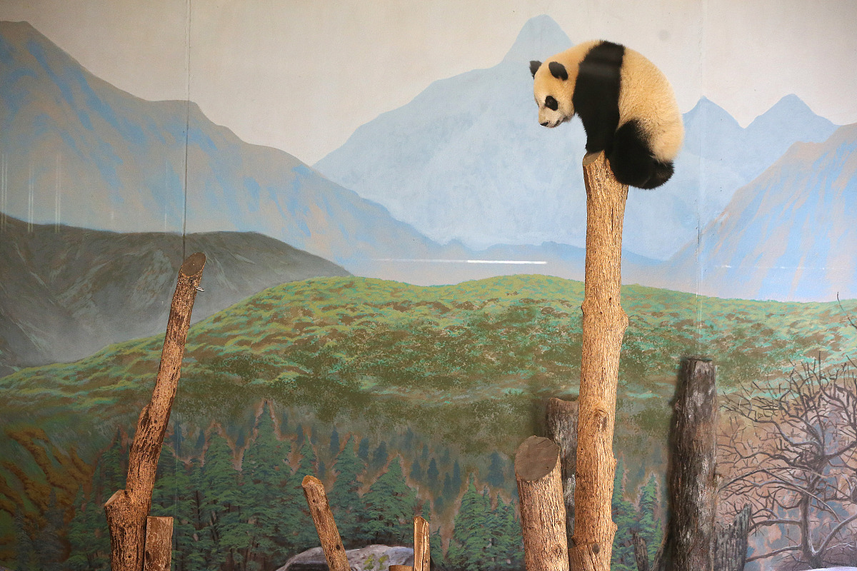 如何幽默回复'过生日都是又老一岁'？