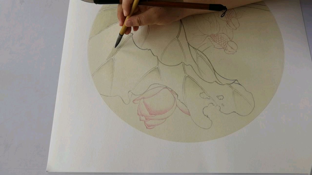 《荷花金鱼》分染教程!