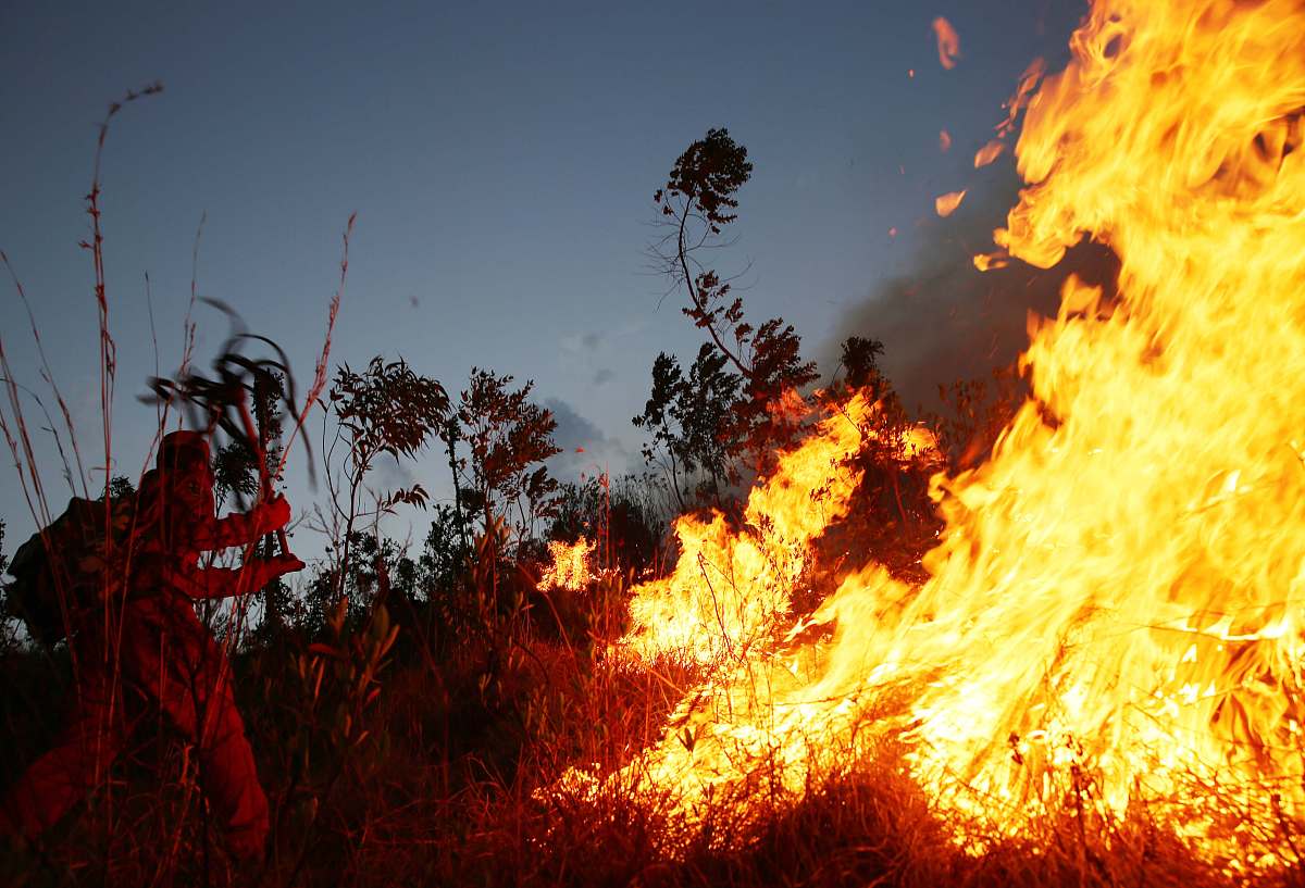 森林火灾向西昌市农业学校蔓延