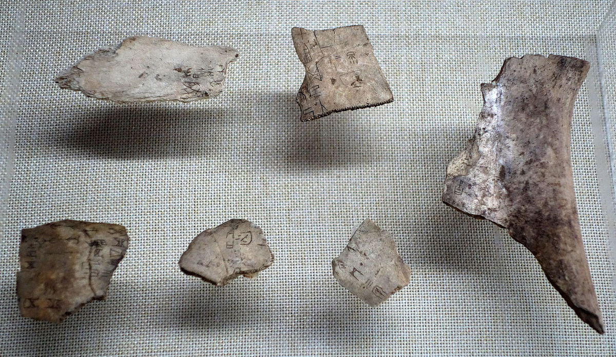 自动评分助手 - 内蒙古开放大学评分工具