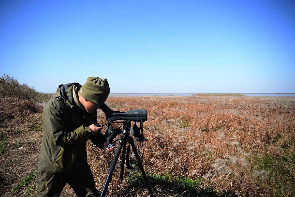 项目初期竞标合同成本估算方法：专家估算法