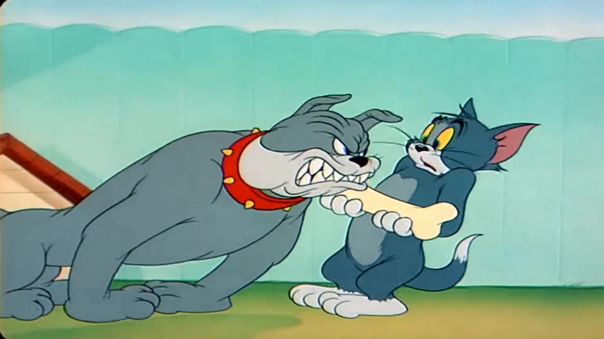 猫和老鼠:杰瑞大战汤姆猫