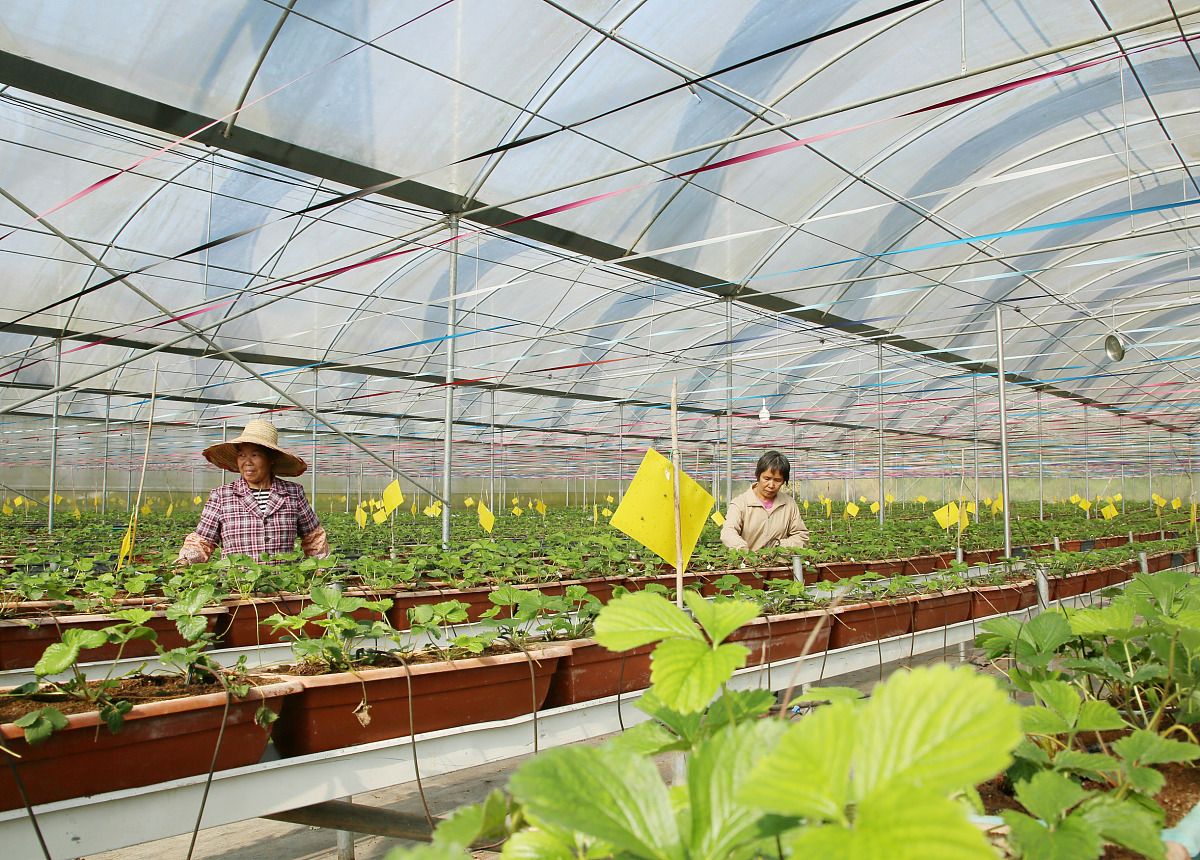 瑞安农业技术学校2023年新增专业：智能农业、有机农业等