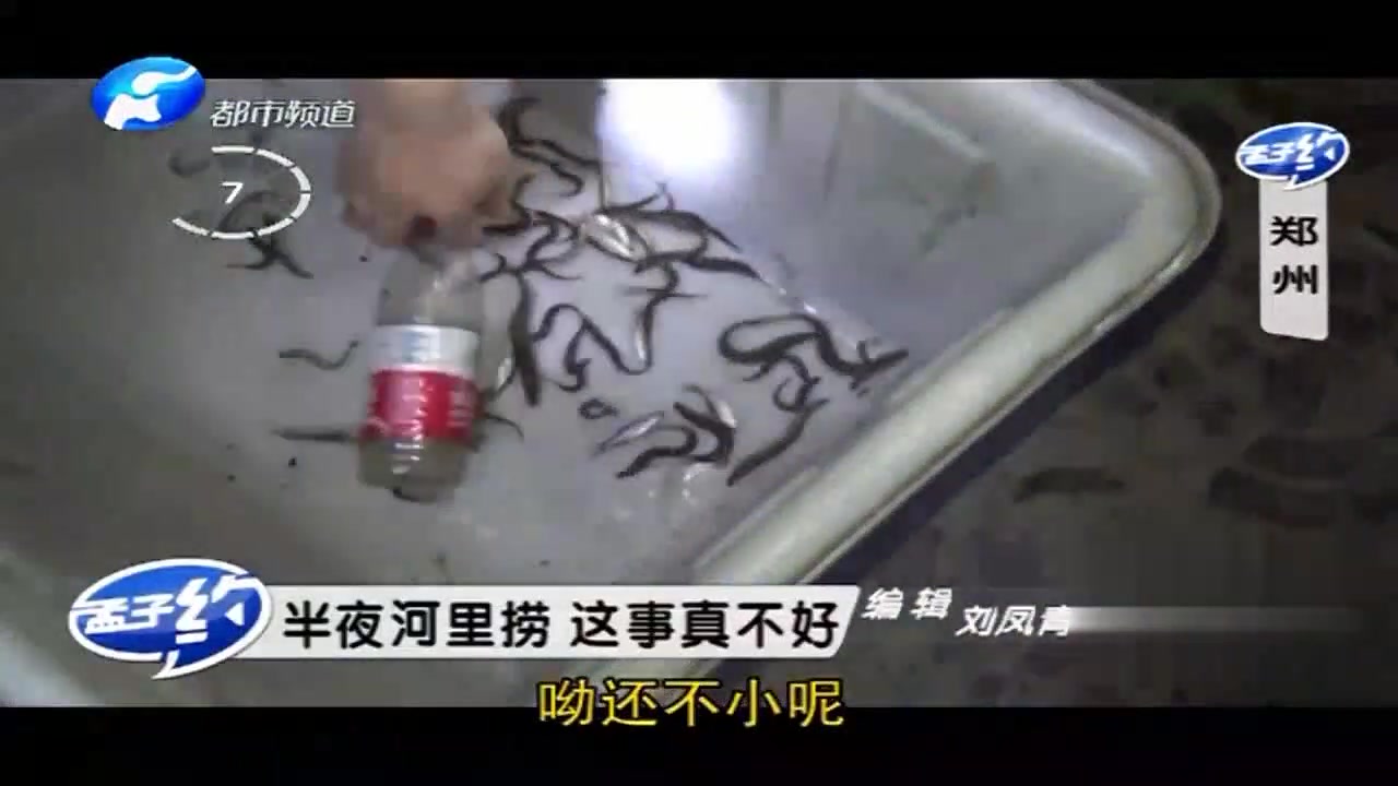 男子深夜金水河里狂捞泥鳅,一次能卖100多块!泥鳅:我惹你了?