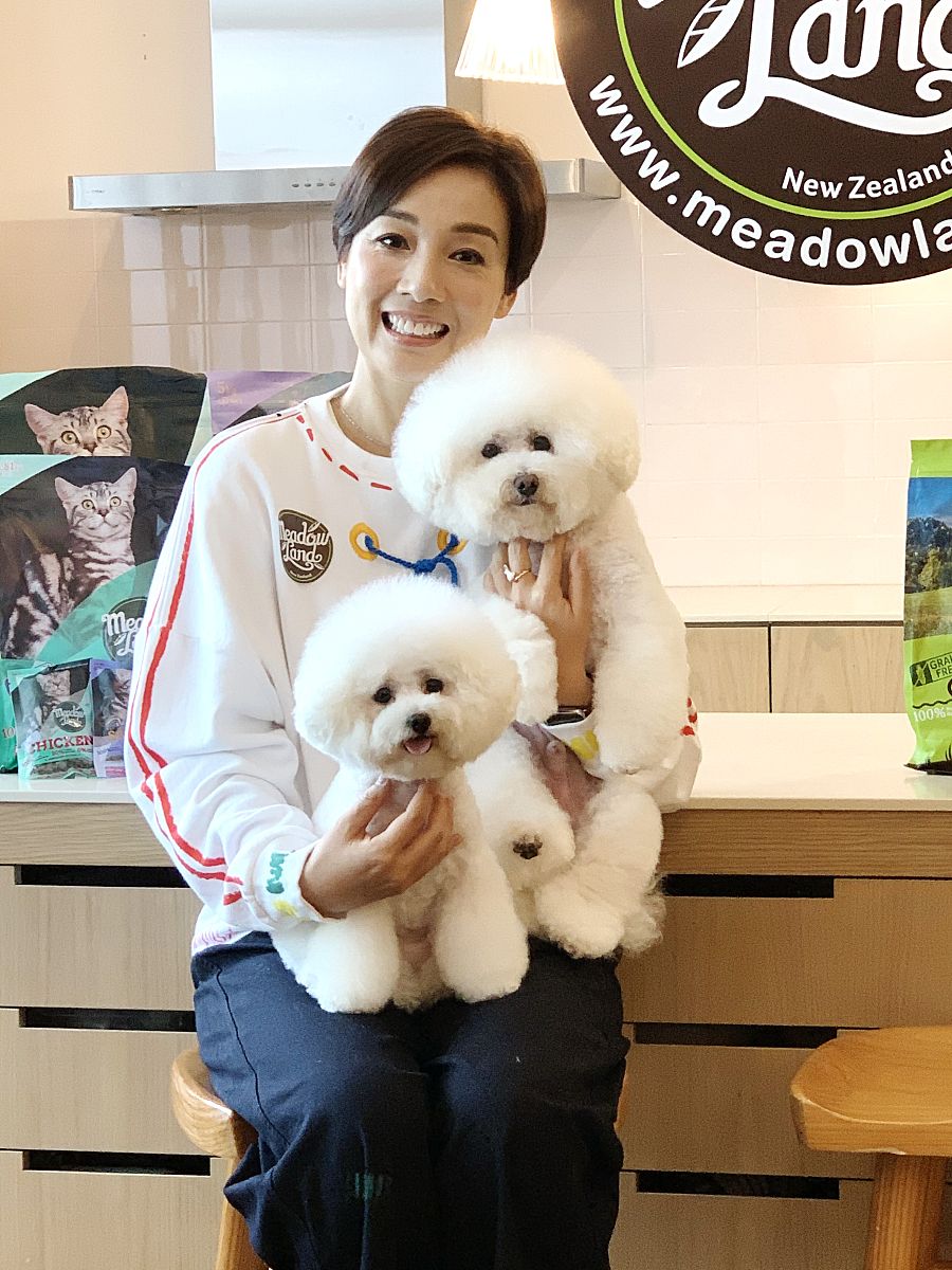 🐶解密狗粮：找到最适合你毛孩子的健康食谱！