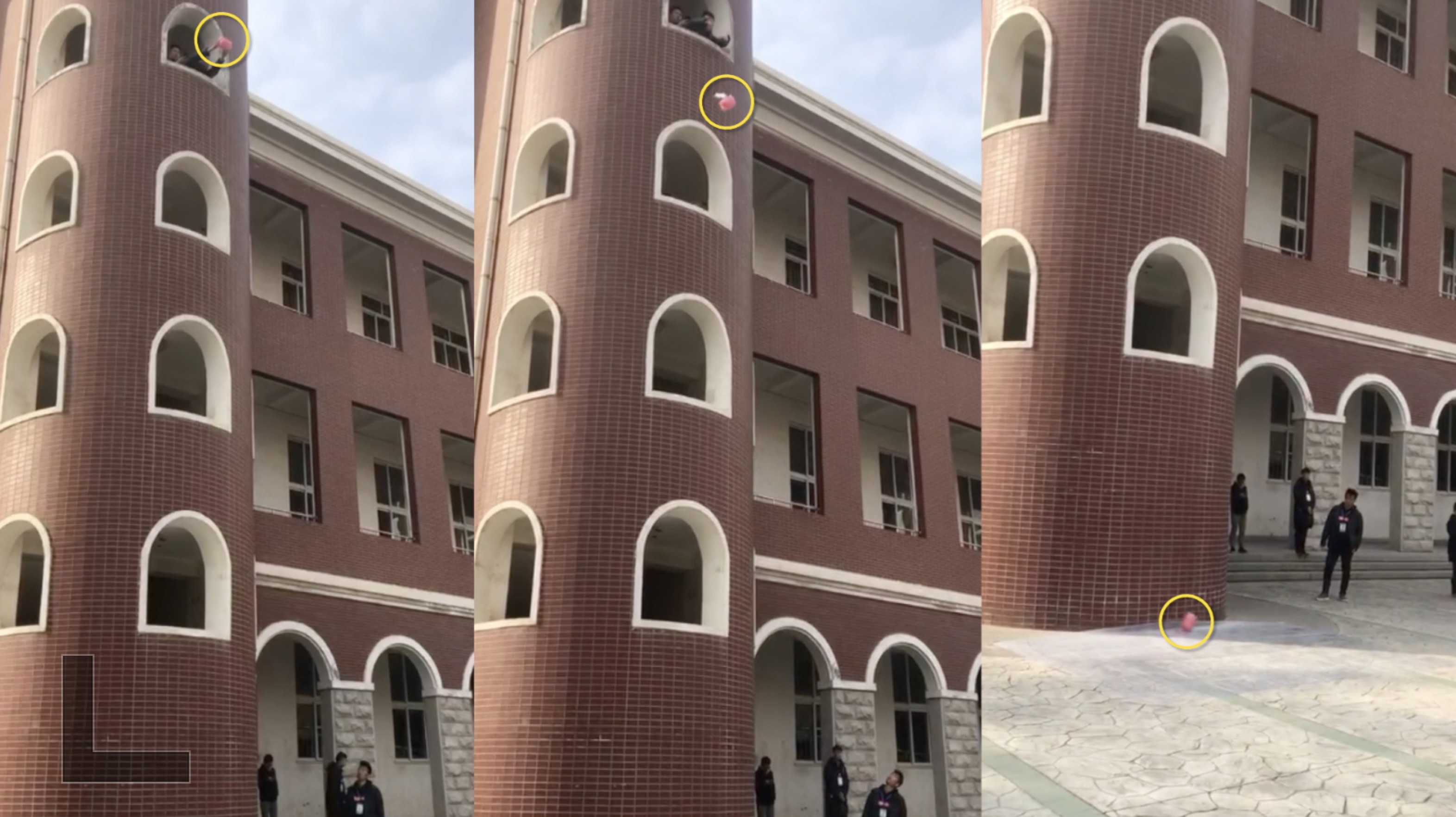 鸡蛋撞地球!大学生出奇招,守护鸡蛋