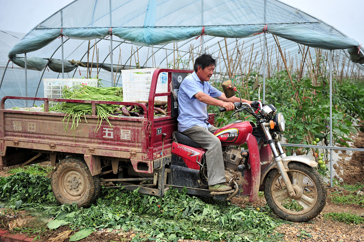 临洮农业学校计算机应用专业怎么样