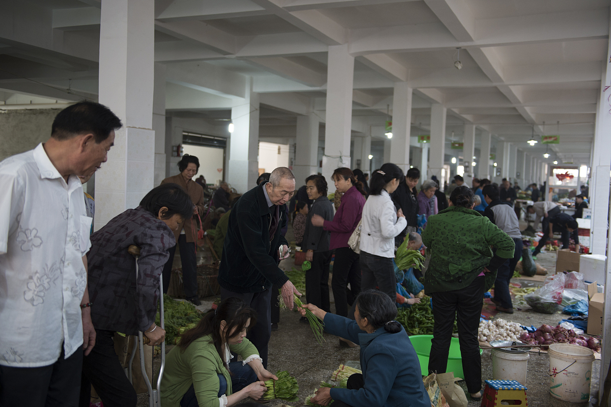 行政法基本原则：概念、特性、意义及在行政法中的定位