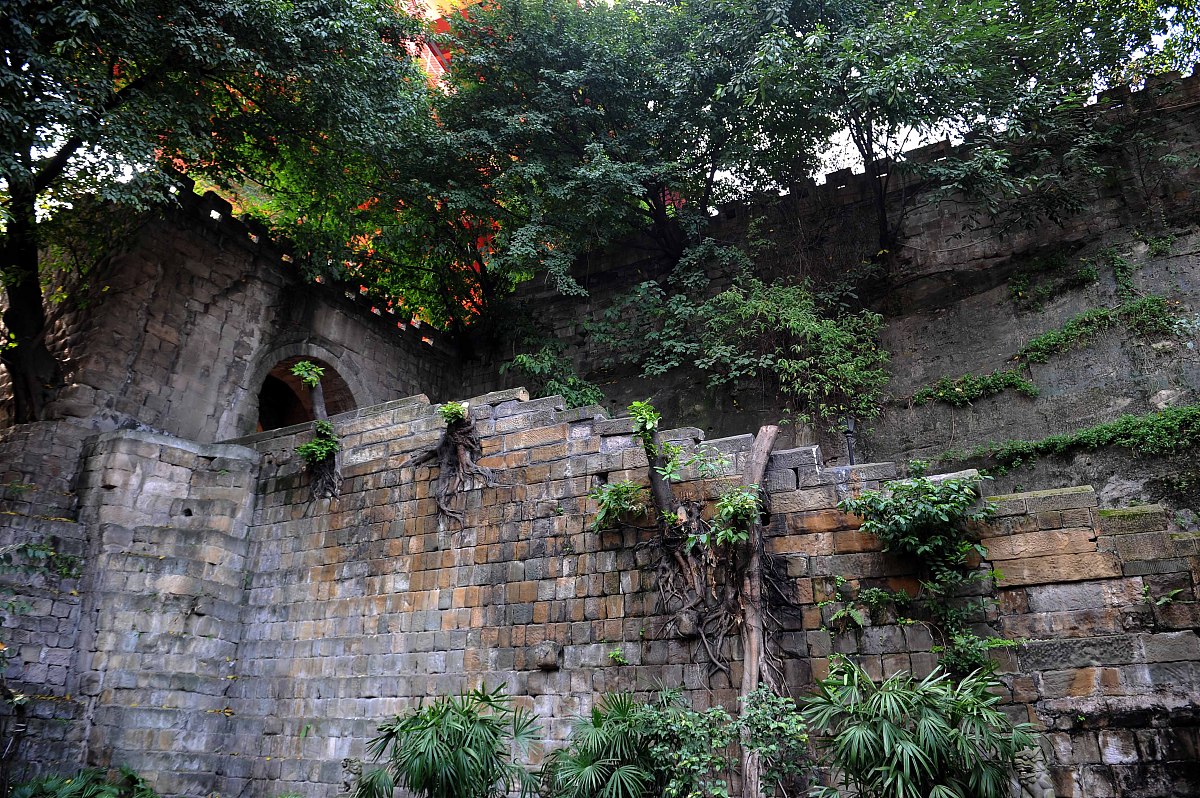 重庆市科能高级技工学校招生办电话多少