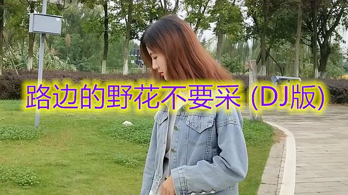 [图]《邓丽君 - 路边的野花不要采 (DJ版)》节奏欢快