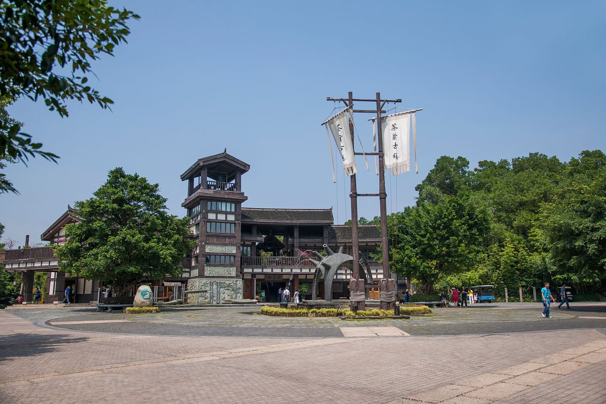 林雅之旅：探索云南之冠，感受自然与文化之美