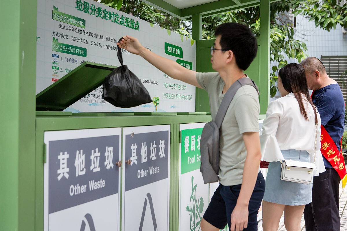 公司低碳出行日活动后的总结投稿