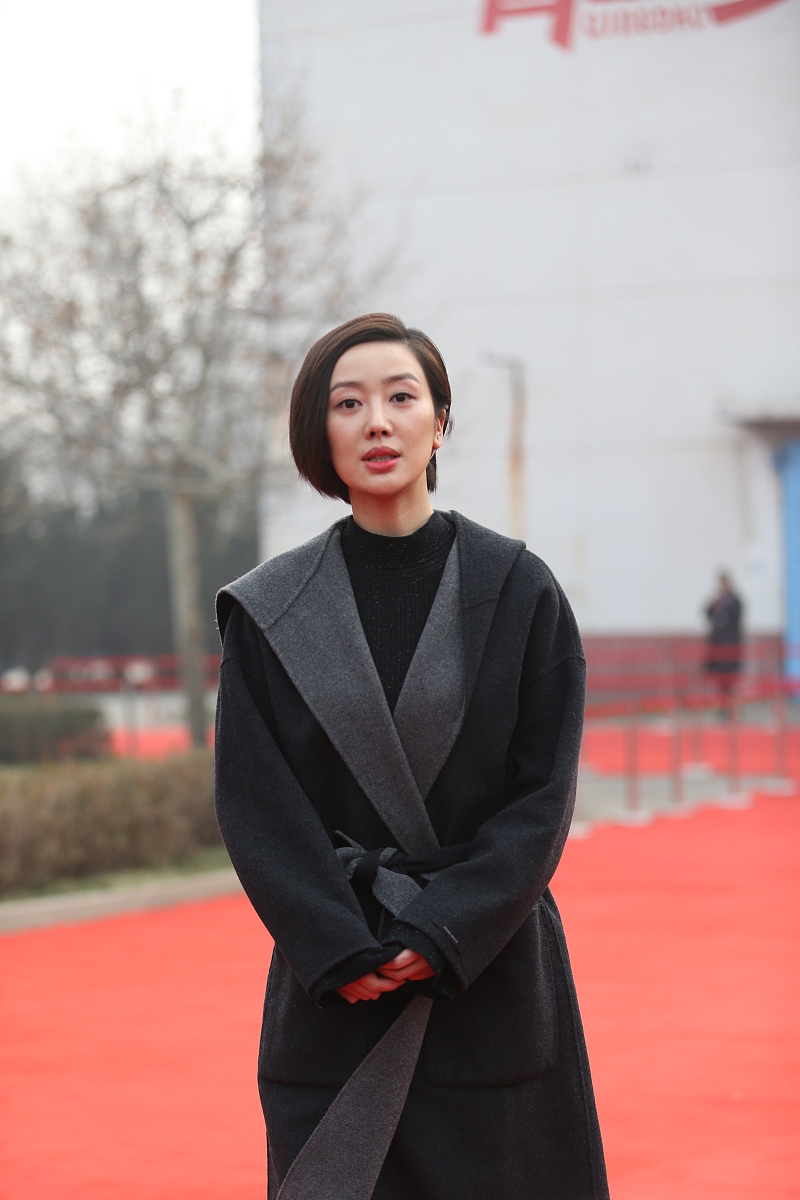 寻找爱的方程式：浪漫爱情与数学的完美邂逅