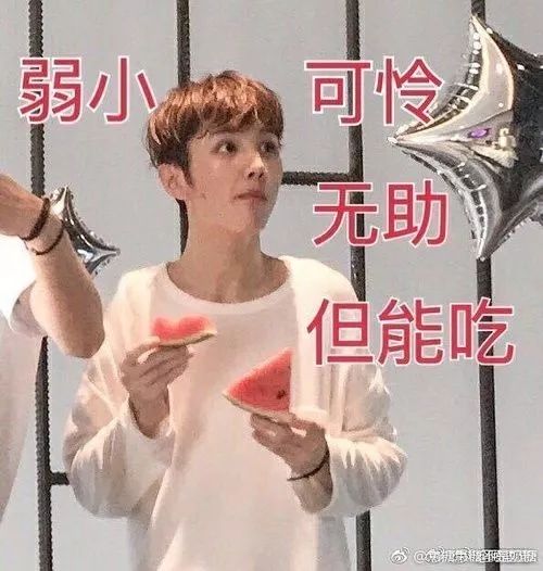 出道一整年都白干了，他们也太惨了吧...