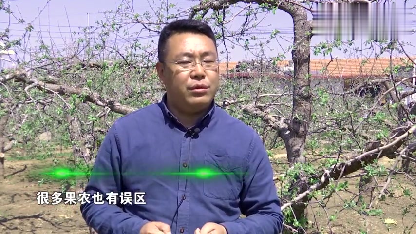 不同部位的灌根有不同的功效,您知道怎样正确灌根吗?