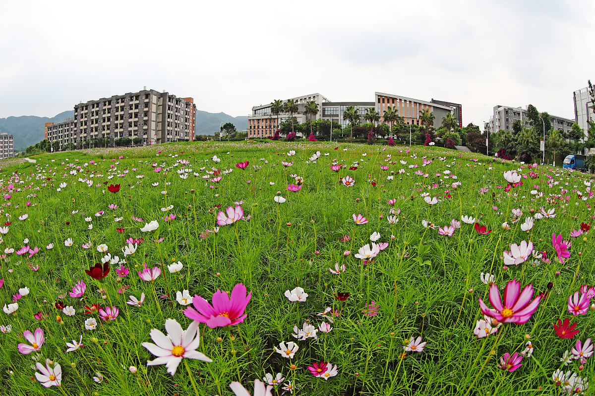 重庆工程职业技术学院数控技术应用专业可以选择哪些就业方向