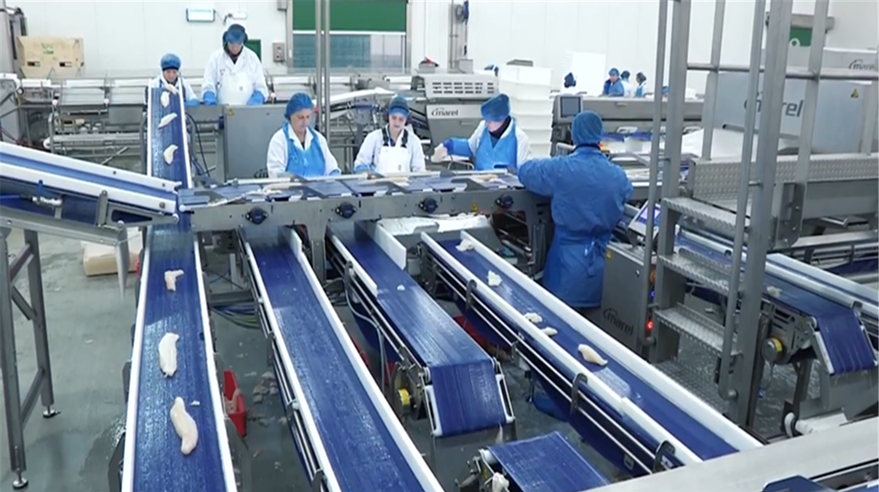 国外全自动杀鱼工厂,活鱼进去鱼片出来,中国很需要吧