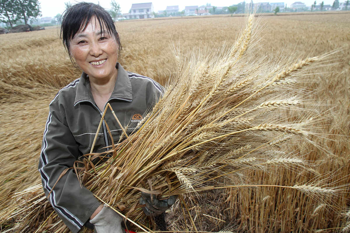 黑龙江农垦科技职业学院农业装备应用技术专业涉及哪些课程