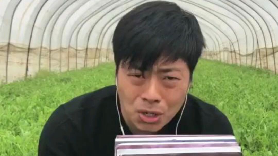 一个被种菜耽误的歌手,一套被大棚耽误的表情包!